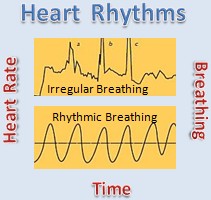 heart rhythms graph