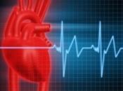 pulse heartbeat