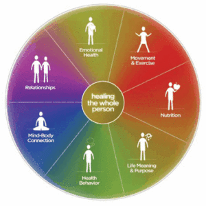 wheel of health